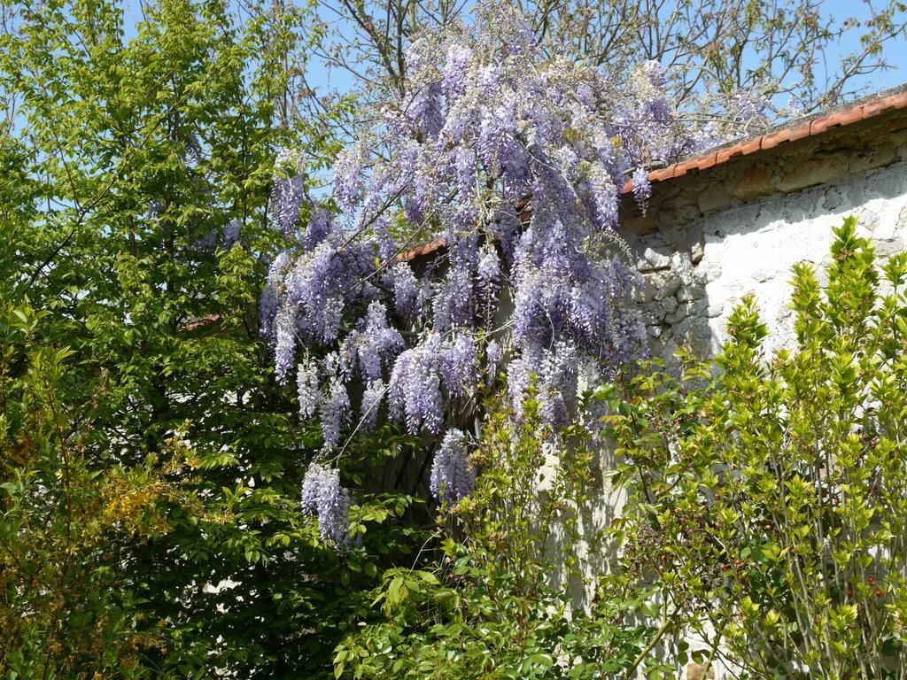 Gites De La Grande Ferme Avernes Pokoj fotografie